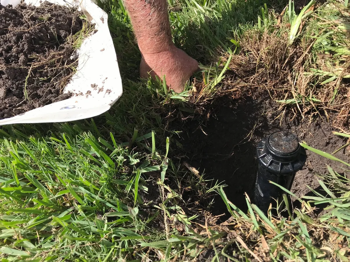 An irrigation rotor being straightened in the lawn, with the hole still open